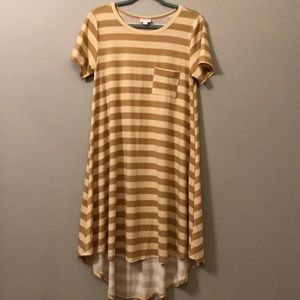 cream & gold stripe carly